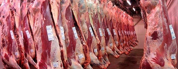 Exportaciones de carne crecieron durante el primer trimestre