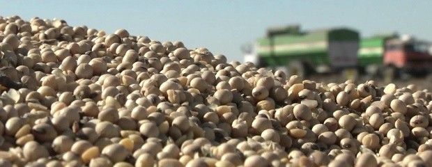 Cómo impacta en el campo la medida del Banco Central 