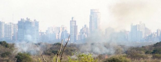 Denunciarán penalmente a responsables de incendios en islas