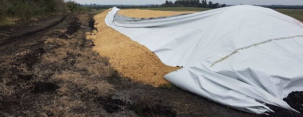 FAA Entre Ríos repudió la rotura intencional de un silobolsa