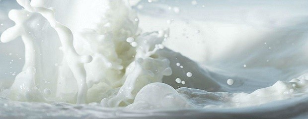 La producción argentina de leche creció en mayo casi 10%