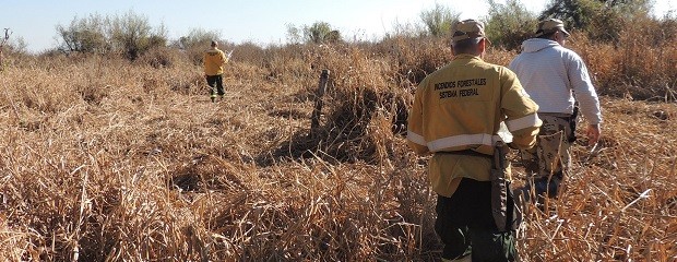 Trabajan desde distintos frentes los incendios en las islas