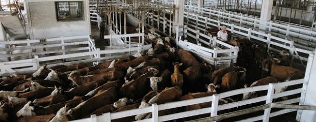 Conflicto gremial en el mercado de Liniers