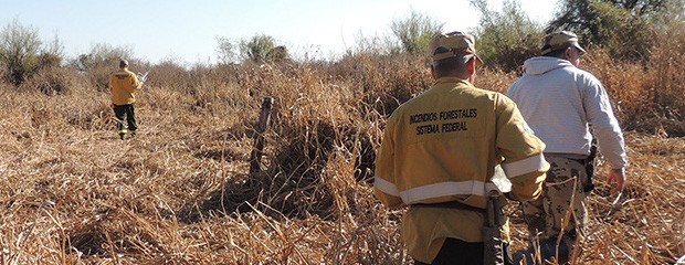 Finalizó el operativo para controlar incendios en islas