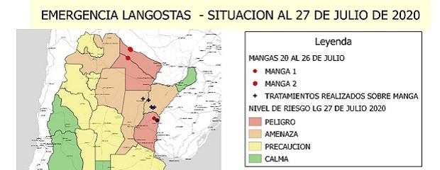 Control: Rompen la manga de langostas asentada en Entre Ríos