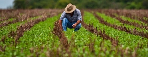 Fotografía de la agricultura familiar argentina