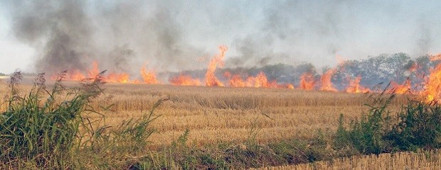 Incendios: Entidades piden llevar claridad a la problemática