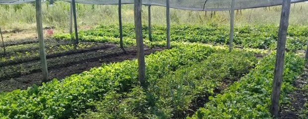 Se fortalece el apoyo a la agricultura familiar 