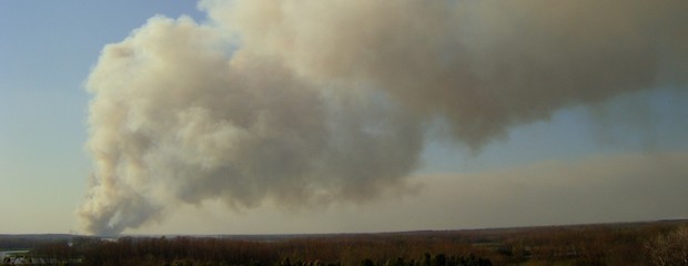 Plan de forestación en islas como respuesta a los incendios