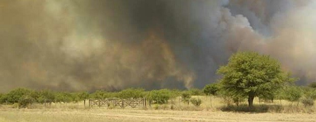 11 provincias con incendios y el 95% por acciones humanas