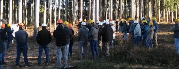 Transfieren pagos a forestadores por 73,9 millones de pesos