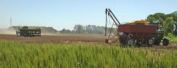 El agro fue una de las actividades que menos cayó