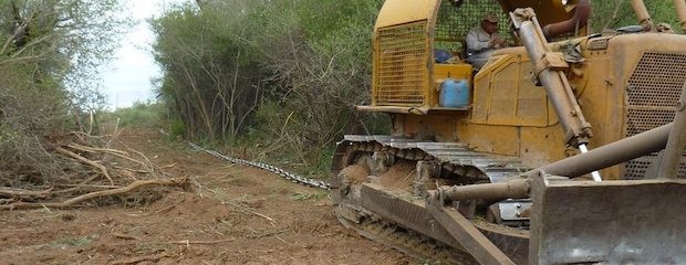 Destinarán 82 mill. dólares para combatir la deforestación