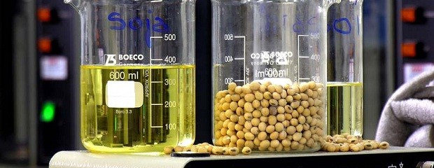  La producción de biodiesel sería la más baja en 10 años