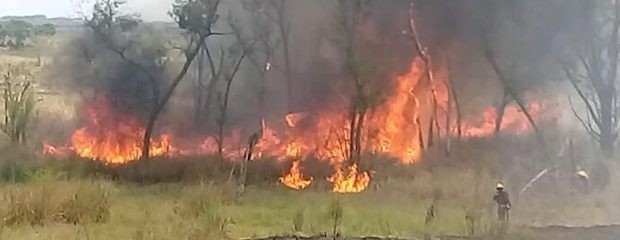 Continúa activo un foco ígneo en islas del Delta