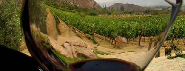 En 2020 Argentina vendió 90 millones de litros más de vino