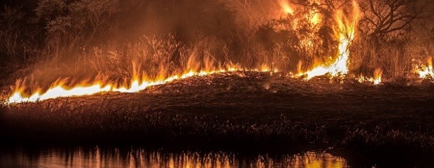 Las lluvias ayudaron a extinguir los incendios en el Delta