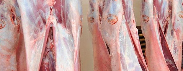 Creció un 38% la exportación de carne ovina