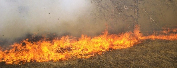 Las cuatro cadenas contra la ley de Manejo del Fuego