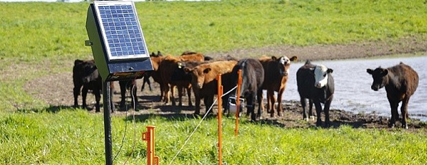 Se entregarán boyeros y bombas solares a productores rurales