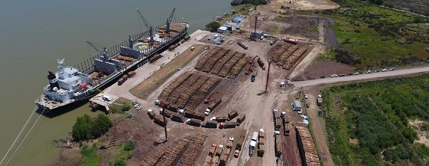 Ibicuy: salieron casi 500.000 toneladas de madera a China