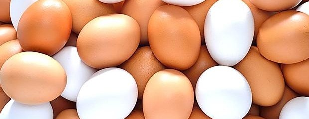 Advierten el peligro de abrir la importación de huevos