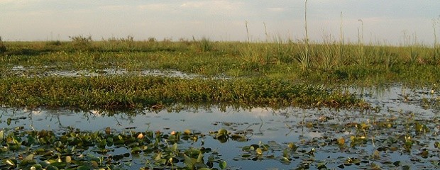 El INTA inició mapeo de la distribución y usos de humedales