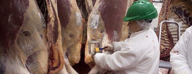 Cayó la faena y el consumo de carne