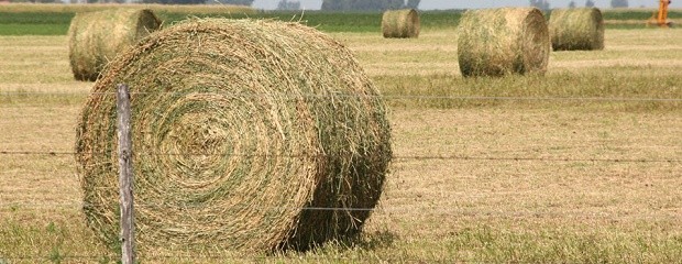 Salto en las ventas de equipos de conservación de forrajes