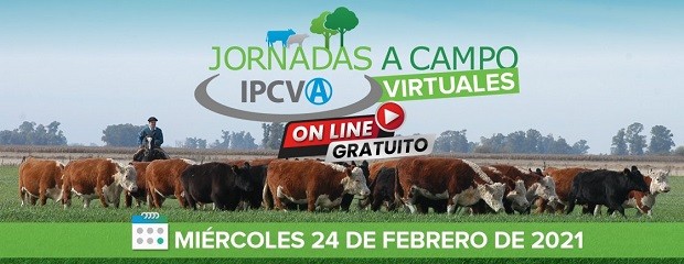 Se viene la primera jornada virtual del IPCVA en Reconquista