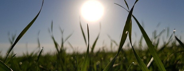 Semana cálida y con lluvias para el Oeste 