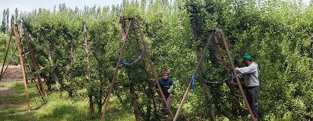 RENATRE amplía cobertura de la Prestación por Desempleo 