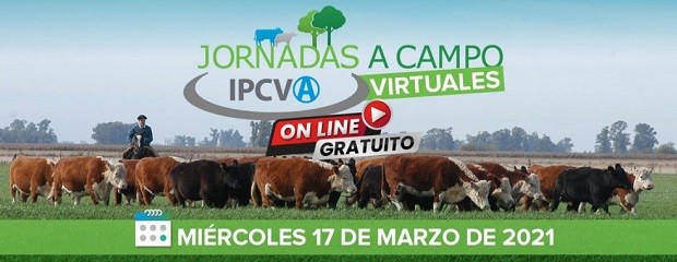 Este miércoles, jornada ganadera del IPCVA desde Guaminí