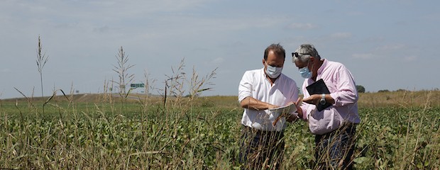 Agricultura lanzó la Estimación de campaña de cosecha gruesa