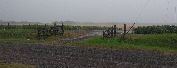 Confirman llegada  de fase neutral de El Niño