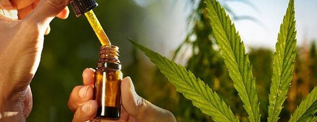 Habilitan la inscripción de Cannabis para uso medicinal