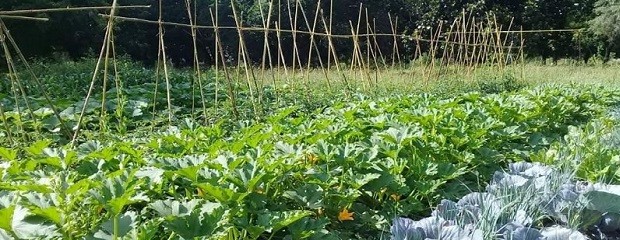 Buscan fortalecer la Agricultura Familiar en Gualeguaychú