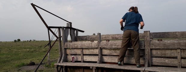 De 300 vacunadores contra fiebre aftosa, nueve son mujeres