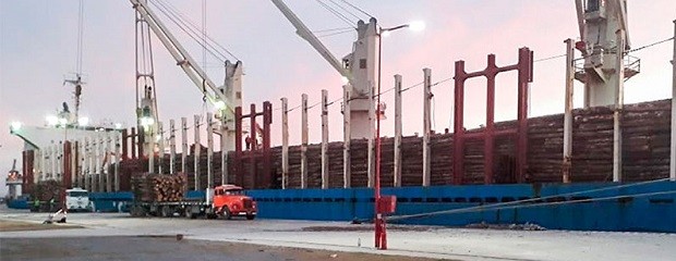 Exportación: Mejora la performance de puertos entrerrianos 