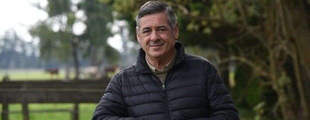 Nicolás Pino, nuevo presidente de Sociedad Rural Argentina