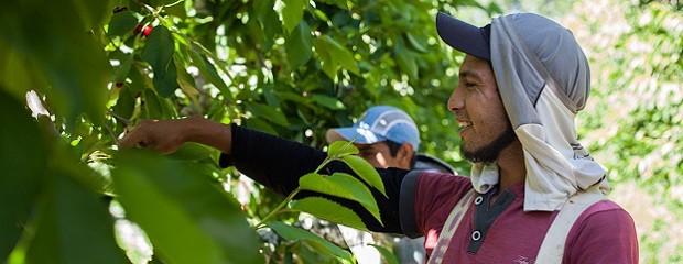 Cómo cobrar prestación por desempleo mediante trasferencia