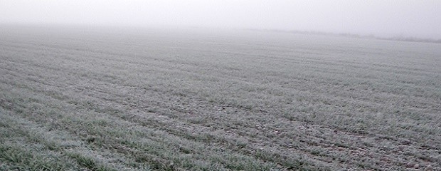 Cómo sigue la ola polar según el pronóstico del tiempo