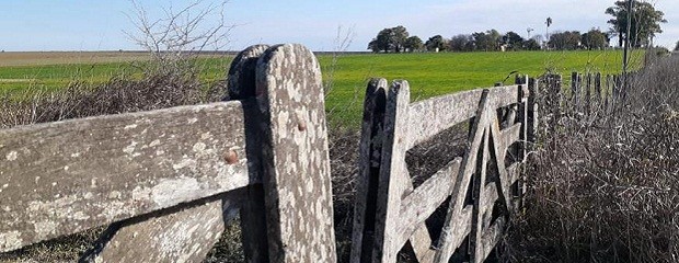 Subió la actividad del inmobiliario rural en junio 