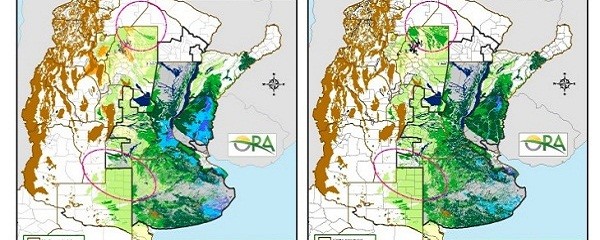 Por las lluvias, las reservas están óptimas para el trigo