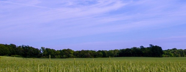 Estrategias para remediación ambiental de agroecosistemas