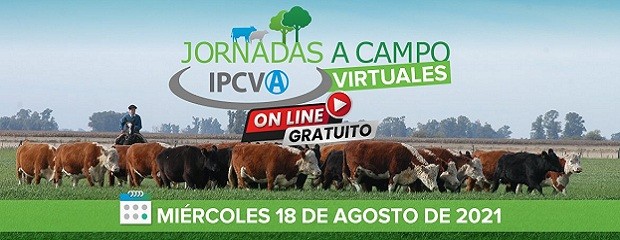 Nueva Jornada Ganadera virtual del IPCVA