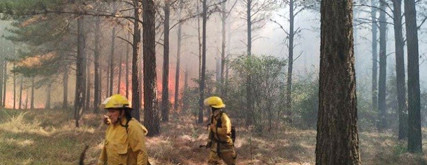 En la última semana se triplicaron los focos de incendios