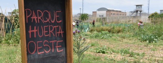 Rosario: Programa Agricultura Urbana salió campeón mundial