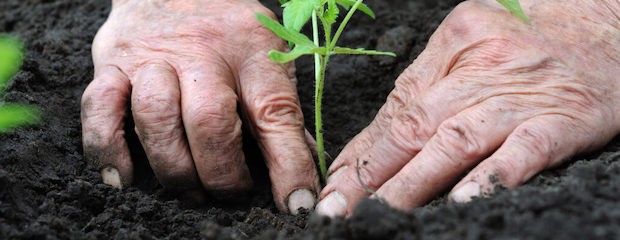 Llega la agricultura regenerativa