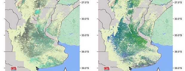 Presentan el tercer mapa nacional de cultivos extensivos